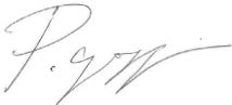 Councillor Paul Goggin's signature