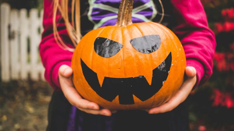 child wearing halloween witches costume while holding holiday pumpkin
