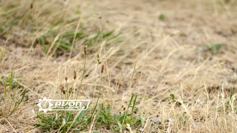 image of dry grass with Avon fire logo