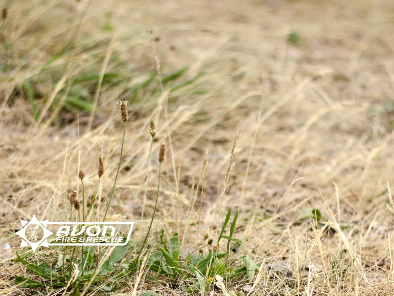 image of dry grass with Avon fire logo