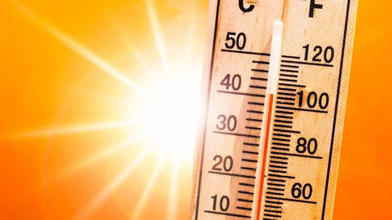 Thermometer